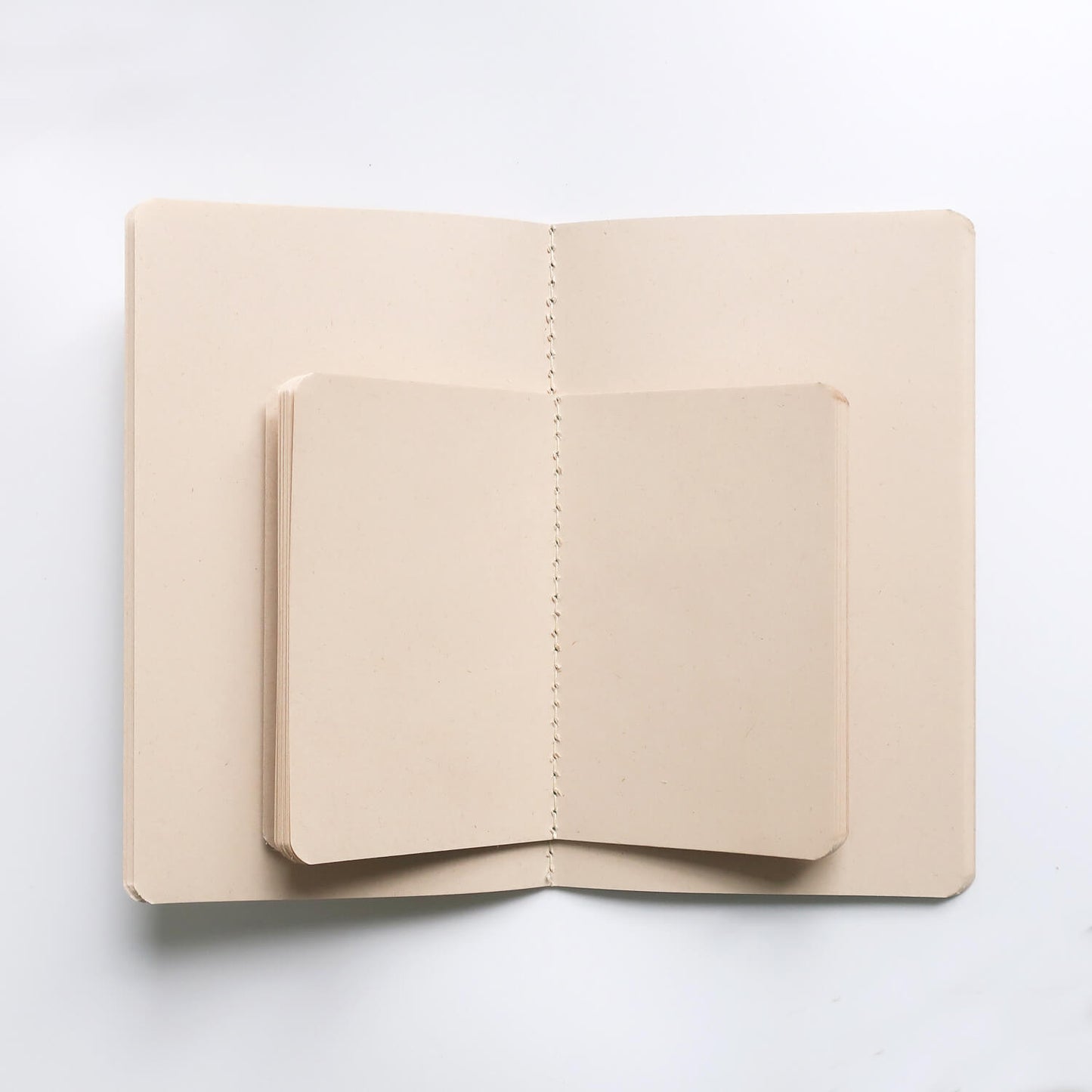 BIO 3-Pack Notebook/ Small (EMILIO BRAGA)