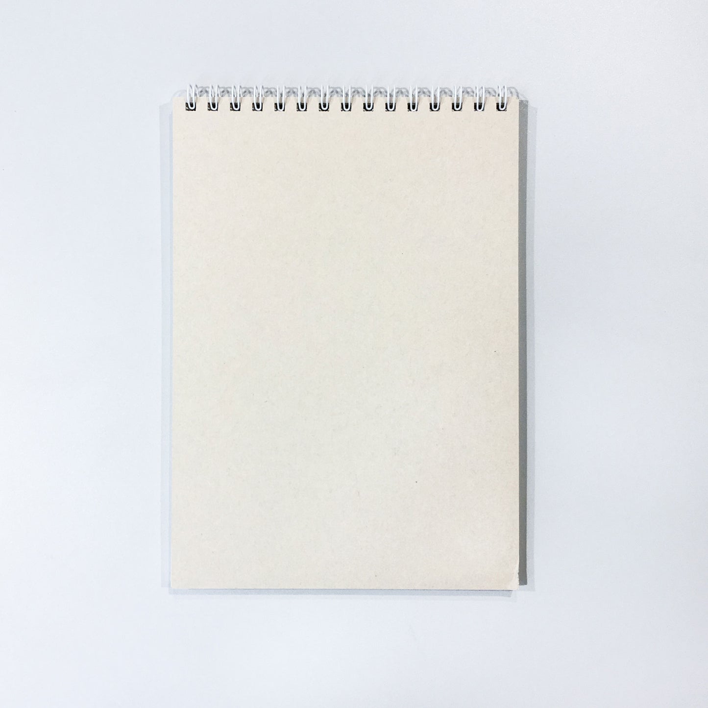 Stenographers' Notebook/ Gregg (LIFE)