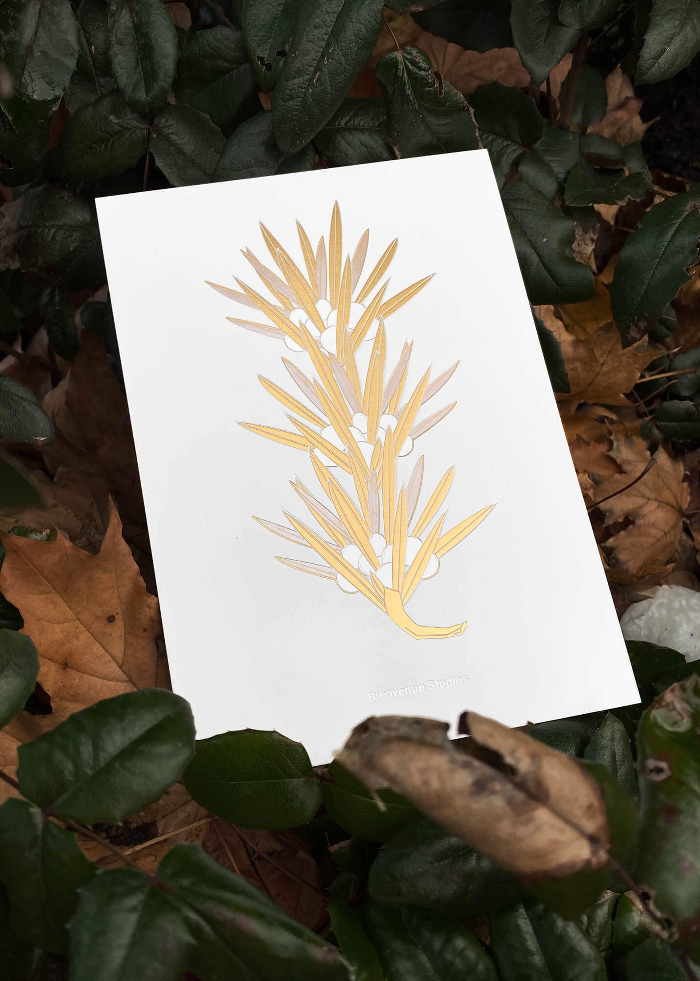 Greeting Card / Buddhist Pine (BIENVENUE STUDIOS)